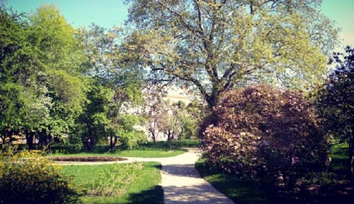 Bild von Bäumen im Garten Belvedere