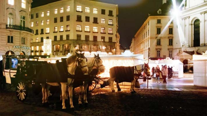 Bild von Pferdekutschen vor der Hofburg