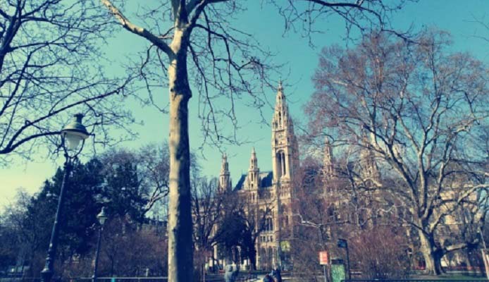 Bild vom Rathaus mit Bäumen davor